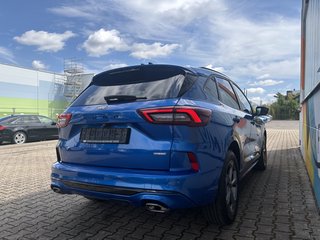 Ford Kuga Hybrid ST-Line 180PS Panoschiebedach FHEV - bilder 8