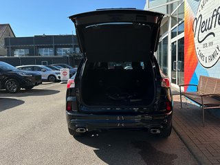 Ford Kuga Plug-In Hybrid ST-Line X /ACC/LED - bilder 8