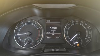 Skoda Kamiq Scoutline  ACC AHK MULTILENKRAD - photo 32