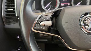 Skoda Karoq  ACC AUTOMATIK NAVI PANO AHK - bilder 13