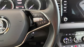 Skoda Karoq  ACC AUTOMATIK NAVI PANO AHK - bilder 14