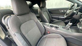 Ford Mustang Fastback 2.3EcoBoost*Kamera*CarPlay* - photo 10