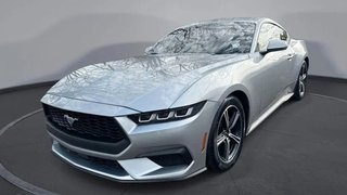 Ford Mustang Fastback 2.3EcoBoost*Kamera*CarPlay* - photo 3