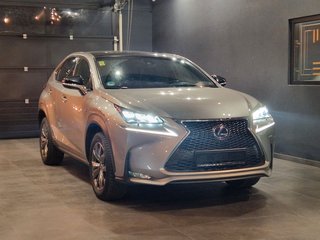Lexus NX 300 Gebrauchtwagen Kaufen