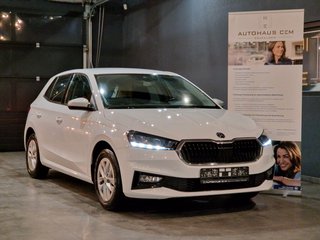 Skoda Fabia Gebrauchtwagen Kaufen