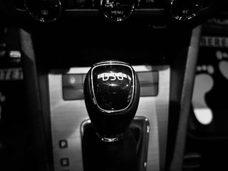 Skoda Octavia 1.6 TDI *Automatik*`Soleil`SHZ`DSG`LED - photo 22