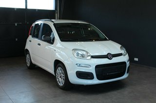 Fiat Panda 1.2 *Radio*Klima*Wenig KM - bilder 1