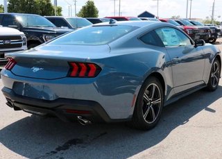 Ford Mustang 2,3EcoBoost*Kamera*CarPlay* - bilder 5