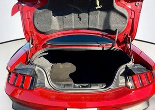 Ford Mustang GT Fastback 5.0Ti-VCT V8*Kamera*CarPlay* - bilder 6