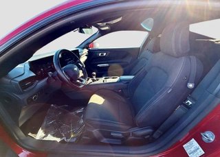 Ford Mustang GT Fastback 5.0Ti-VCT V8*Kamera*CarPlay* - bilder 10