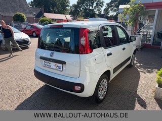 Fiat Panda Easy*1.HAND*KLIMA*TÜV/AU NEU*EURO6*GARANTI - bilder 5