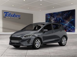 Ford Fiesta Gebrauchtwagen Kaufen