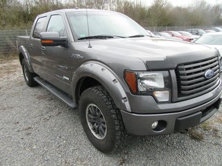 Ford F 150 Used vehicle for sale