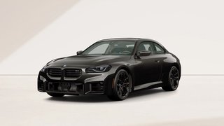 2027 BMW M2 M xDrive Coupe - photo 2