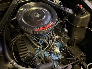 Ford 1965 4.7 Fastback Hertz GT 350 H - photo 11