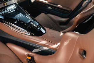 Mercedes-Benz AMG GT R *1 OF 1* *CENTER OF EXCELLENCE*CARBON - bilder 15
