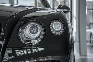 Bentley Continental Supersports + ONE OF 710 + Titanium Exhaust + Midnight Emerald - photo 20