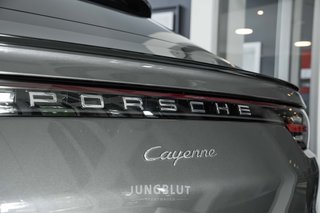 Porsche Cayenne Coupe Basis - photo 42