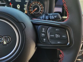 Jeep Wrangler Rubicon 3.6l V6 Automatik +Stahlstoßstange +Seilwinde - foto 22