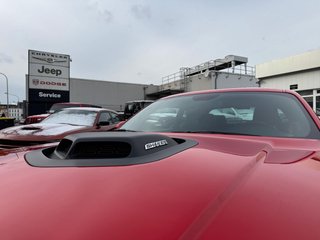 Dodge Challenger R/T SHAKER 5.7 V8 HEMI Brembo NAVI - bilder 9