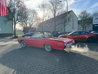 Ford Thunderbird Cabrio 6.4l V8 300 PS H-Zulassung - foto 7