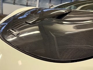McLaren 570 S*Novitec*Carbon FULL*1of1*TRACK PACK - bilder 10