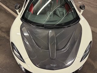McLaren 570 S*Novitec*Carbon FULL*1of1*TRACK PACK - bilder 11