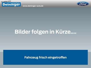 Ford Fiesta Jahreswagen Kaufen