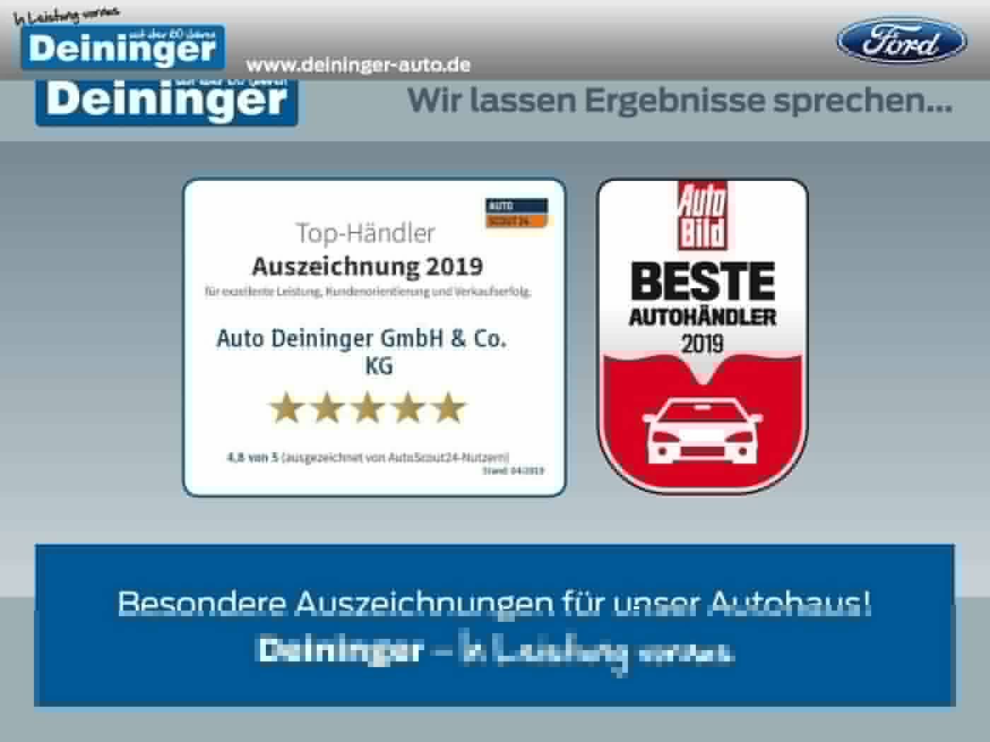 Ford Transit Gebrauchtwagen Kaufen