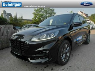 Ford Kuga Jahreswagen Kaufen