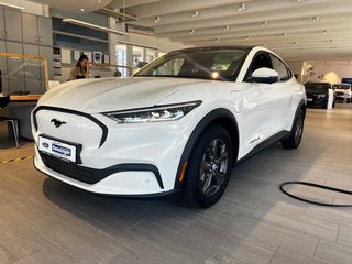 Ford Mustang Mach-E Neuwagen Kaufen