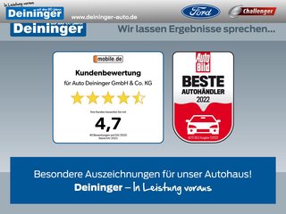 Ford Fiesta Gebrauchtwagen Kaufen