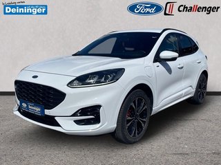 Ford Kuga Gebrauchtwagen Kaufen