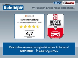Challenger 317 Graphite Edition 165 PS 4,1 to Automatic mit Hubbett - foto 7