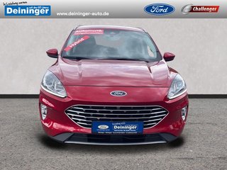 Ford Kuga Gebrauchtwagen Kaufen