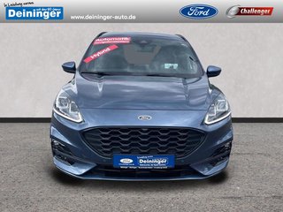 Ford Kuga Gebrauchtwagen Kaufen