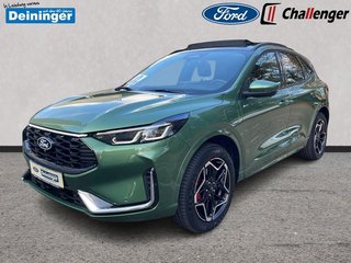 Ford Kuga Gebrauchtwagen Kaufen