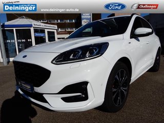 Ford Kuga Gebrauchtwagen Kaufen