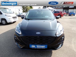 Ford Kuga Gebrauchtwagen Kaufen