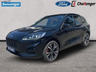 Ford Kuga Gebrauchtwagen Kaufen