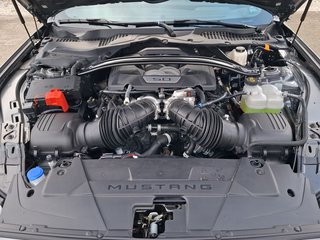 Ford Mustang Fastback 5.0 Ti-VCT V8 GT AUTOMATIK / LED / NAVI / LEDER - bilder 7