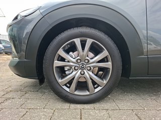 Mazda CX-30 Exclusive-Line 2.0 AWD AUTOMATIK / ACC / LEDER / SCHIEBEDACH - bilder 13