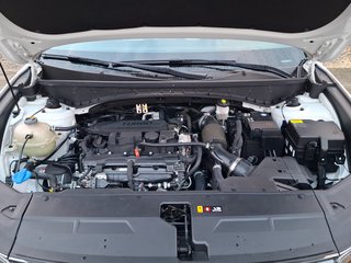 Hyundai TUCSON 1.6 T-GDI Prime Mild-Hybrid 2WD LEDER / AHK / NAVI / LED - foto 6