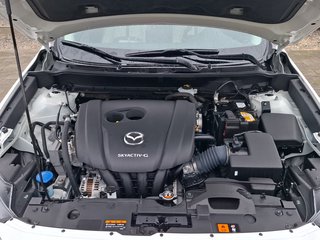 Mazda CX-3 Homura 2.0 KLIMA / NAVI / LED / SITZHEIZUNG - foto 6