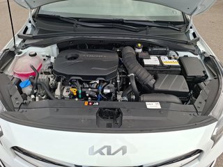 Kia XCeed 1.6 T-GDI GT Line AUTOMATIK / LEDER-PAKET / NAVI - bilder 6