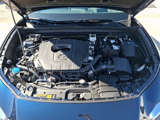 Mazda CX-30 2025 2.5 e-SKYACTIV-G 140PS 6AT Homura - bilder 12