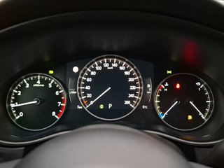 Mazda CX-30 2.5 140PS 6AT Homura - bilder 2