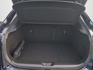 Mazda CX-30 Selection 2.0 AWD AUTOMATIK / LEDER / MATRIX / SCHIEBEDACH - foto 6