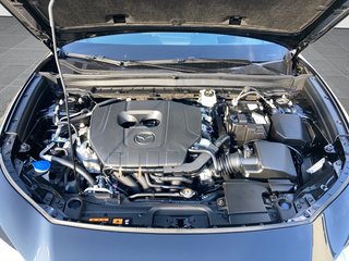 Mazda CX-30 2025 2.5 e-SKYACTIV-G 140PS 6AT Homura - bilder 7