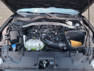 Ford Mustang 5.0 Ti-VCT Mach 1 Fastback RECARO / NAVI / LED - foto 4